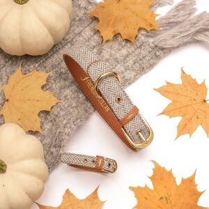 Tweed friendship dog collar and matching bracelet